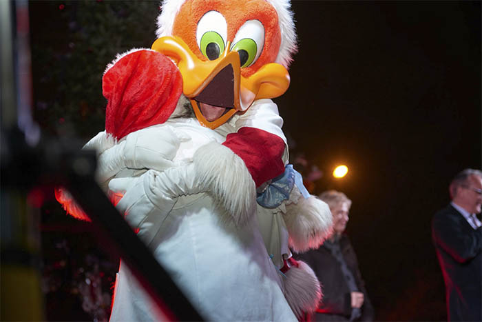 portaventura-fundacion-eventos-hospital-sant-joan-de-deu-encendido-luces-navidad-2016-9