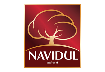 logo_navidul
